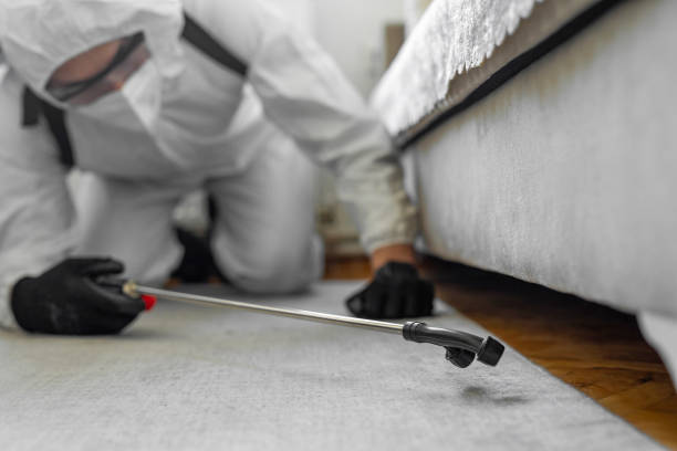 Professional Bed Bug Control technician working in Wabasso Beach, FL