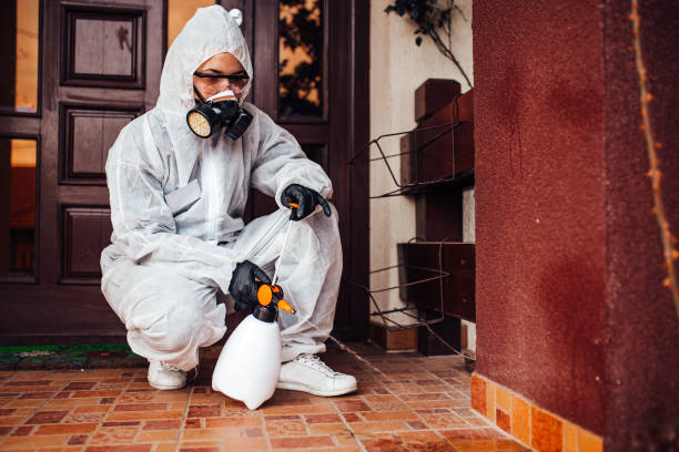 Reliable Bed Bug Control contractor in Wabasso Beach, FL by Nex Pest Control