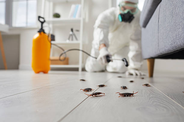 Trusted Fumigation Services service in Wabasso Beach, FL - Nex Pest Control
