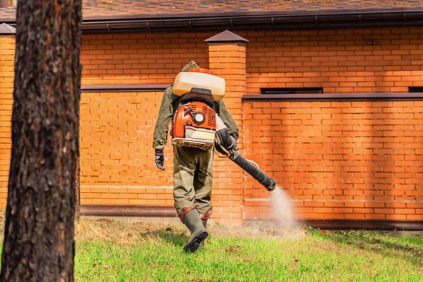 Trusted Termite Control service in Wabasso Beach, FL - Nex Pest Control